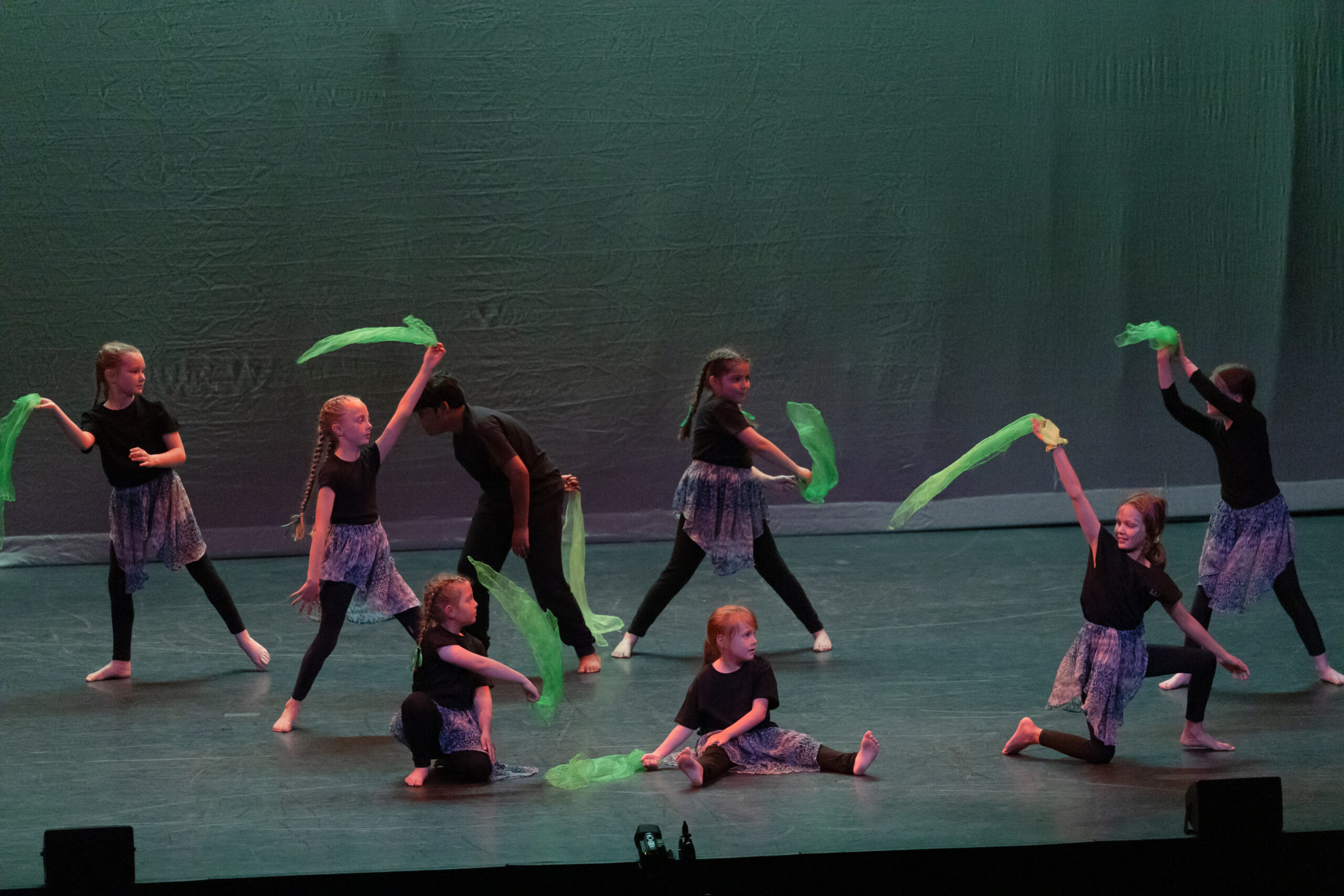 Trinity Dance Community Show - Trinity Dance